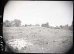 Chucalissa Native American Mound Site (40SY1, Unit 4) - Shelby County, TN 40SY1-4/R1-F11