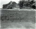 Chucalissa Native American Mound Site (40SY1, Unit 6) - Shelby County, TN 40SY1-6/R9-F28