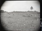 Chucalissa Native American Mound Site (40SY1, Unit 5) - Shelby County, TN 40SY1-5/R1-F7
