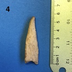 Antler Tine Projectile Point by Chucalissa Museum