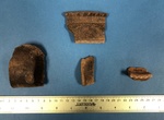 Pottery Sherds by Chucalissa Museum