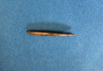 Bone Needle by Chucalissa Museum