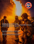 Tennessee State Fire Marshal's Office Commissioner's Annual Report for 2019