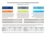 Tennessee Jail Summary Report, April 2025