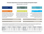 Tennessee Jail Summary Report, June 2025