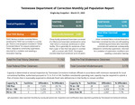 Tennessee Jail Summary Report, March 2025