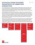 Juvenile Report, April 2026