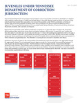 Juvenile Report, October 2025