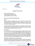 Tennessee Financial Literacy Commission Financial Statement 2022 by Tennessee. Department of the Treasury.