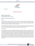 TNStars Financial Statement 2024 by Tennessee. Department of the Treasury.