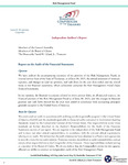 Risk Management Fund Financial Statement 2025 by Tennessee. Department of the Treasury.