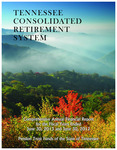 Tennessee Consolidated Retirement System Comprehensive Annual Financial Report For the Fiscal Years Ended June 30, 2013 and June 30, 2012 by Tennessee. Department of Treasury.