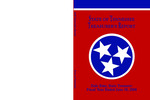 State of Tennessee Treasurer's Report Fiscal Year Ended June 30, 2008