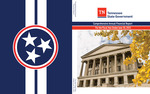Tennessee Comprehensive Annual Financial Report For the Fiscal Year Ended June 30, 2015