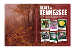Tennessee Comprehensive Annual Financial Report For the Fiscal Year Ended June 30, 2012