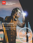 2019 Tennessee Census of Fatal Occupational Injuries, The Survey of Occupational Injuries and Illnesses by Tennessee. Department of Labor & Workforce Development.