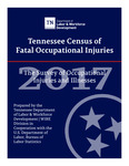2017 Tennessee Census of Fatal Occupational Injuries, The Survey of Occupational Injuries and Illnesses