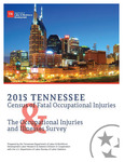 2015 Tennessee Census of Fatal Occupational Injuries & The Occupational Injuries and Illnesses Survey by Tennessee. Department of Labor & Workforce Development.