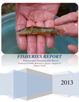 Fisheries Report, Warmwater Streams and Rivers Region IV 2013