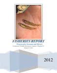 Fisheries Report, Warmwater Streams and Rivers Region IV 2012