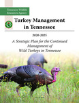 Turkey Management in Tennessee 2020-2025, A Strategic Plan for the Continued Management of Wild Turkeys in Tennessee