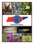 Tennessee State Wildlife Action Plan 2025 by Tennessee. Wildlife Resources Agency.