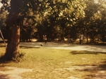 1984-07 No. 09 Soria City Park, Gulfport MS by John M. Shaw