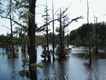 2007-05-17 No. 011 Bayou DeSiard-Monroe LA