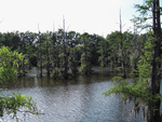 2007-05-17 No. 012 Bayou DeSiard-Monroe LA by John M. Shaw