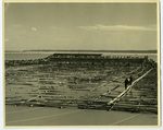 Reclamation work on the Mississippi River, 1939