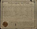 Phrenological certificate, St. Louis, 1900