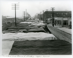 Cotton bales lining Front Street, Memphis, Tennessee, 1937