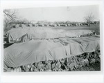 Cotton bales at Southwestern campus, Memphis, Tennessee, 1937