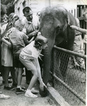 Memphis Zoo, 1965