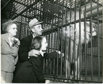 Memphis Zoo, 1955