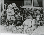 Lewis children in a goat drawn wagon, Memphis, TN, circa 1932