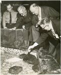 Paul A. Flowers and beavers, 1958