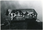 Frank family puppies, Memphis, Tennessee, circa 1902