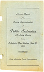 Annual Report of McNairy County School Superintendent, 1910