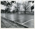 Zach Curlin parking lot, Memphis State University, 1975