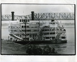 Steamboats "Mississippi Queen" and "Delta Queen", Memphis, TN 1983
