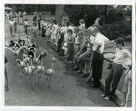 Memphis Zoo, 1983