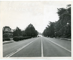 Peabody Avenue, Memphis, 1948