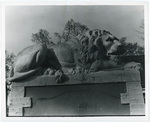 Memphis Zoo lion statue, Memphis, 1983