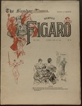 Sunday Times-Figaro, Memphis, 25:08, 1896