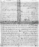 Julia Raine letter, 1878