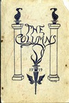 The Columns yearbook, West Tennessee State Normal School, Memphis, 1919